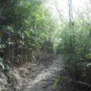 지리산주유소 이미지