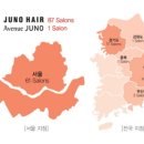 뷰티발전소1 bnt뉴스