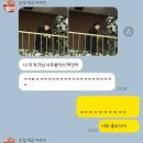 랑이네 | [본식스냅] 랑이스냅 후기 | 서울대 이라운지