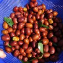 명천농장 이미지