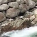 한골민박 이미지