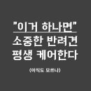 (주)비비바이오 이미지