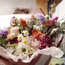 소답동203 이미지