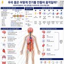 [생체 전기와 건강 상식] 이미지