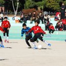 금정초등학교 이미지