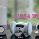 반려동물 토탈 케어 이미지