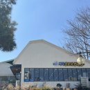 바다양푼이동태탕 남성점 | 목포밥집 추천 바다양푼이동태탕 목포터미널점 동태탕+대패삼겹 조합최고😋