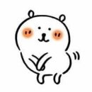 치치독 | 2025 중드 연말결산