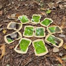 생명의 숲 | 서울대학교 수원수목원 가을 품은 백년숲 탐방 후기!