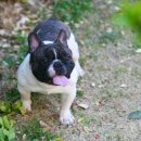 ZANYCAMP(재니캠프) 이미지