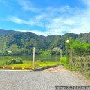 리버스케치 이미지