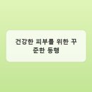 피부의 정원