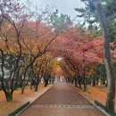 오늘의 경주 이미지