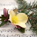 미도기획 이미지