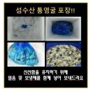 통영굴 도소매 /생굴 업체 택배 /깐굴 업체 도매 가격 이미지