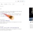 지금 구글 검색창에 운석을 검색하면 이미지