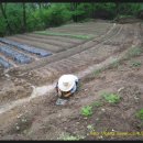 고니농장 이미지