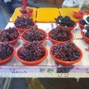 소망과일촌 이미지