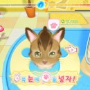 멍냥동물병원 이미지