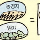 고려모사 네이버블로그