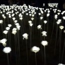 다송캐슬 이미지