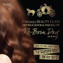 re:born 리본헤어
