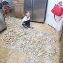 현대그린맨션 이미지