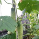 요한농원 이미지