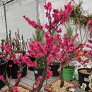 저전나눔터 이미지