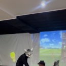 웰짐골프앤테니스