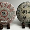 지유명차 이미지