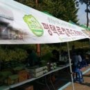 장아식품 네이버블로그