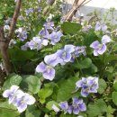 남한강변길 이미지