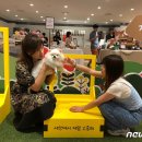 수완호수공원1 이미지
