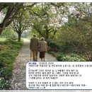 샌드페블 이미지