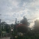 소담 | 제주 / 서쪽 바베큐 가능 해리앤소담 후기:) 애월애견동반펜션