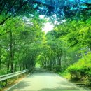 송정자연휴양림 이미지