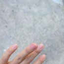 종원농장 | 25.07.09~16 일상 | 에어컨 배수 호스 곰팡이, 지코바 만들기