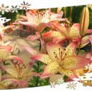 동문의료기 이미지