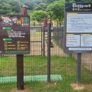 반려동물놀이터 이미지