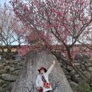 광양이야기 이미지