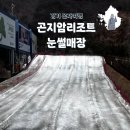29170-3-A-05 | 곤지암리조트 눈썰매장 주차 시간 혼자 방문후기