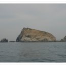 안제립여