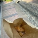찹쌀꽈배기타코야끼 이미지