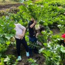 꽃초롱자연학습장 이미지