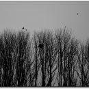 민서농장 이미지