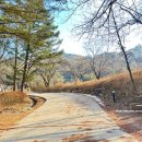 (주)동방 | 수타사 문화유산 가득한 영서내륙 최고의 고찰
