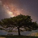 소나무 흑염소 목장 이미지