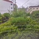 병영2동행정복지센터 네이버블로그