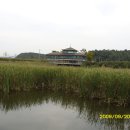 비봉인공습지 이미지